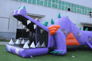 Dry Bounce House or Wet Bounce House: Which Is Right For Your Event?