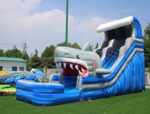 Combo Bounce Houses vs. Standalone Units for Carnival Parties